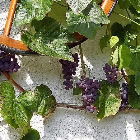 Manoury Am Klosterbrunnen