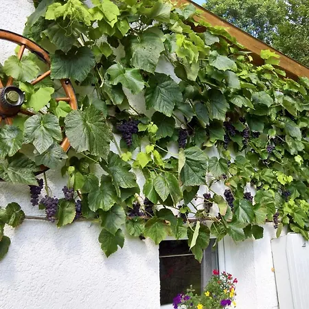 Manoury Am Klosterbrunnen Tatil Evi Waldeck (Hessen)