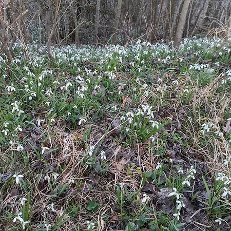 Manoury Am Klosterbrunnen