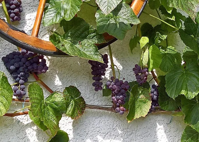 Manoury Am Klosterbrunnen