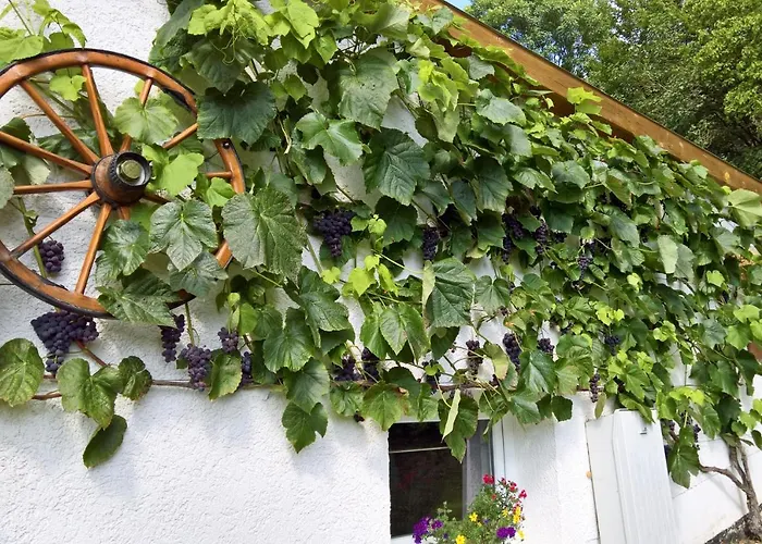 Manoury Am Klosterbrunnen Dom wakacyjny Waldeck (Hessen)